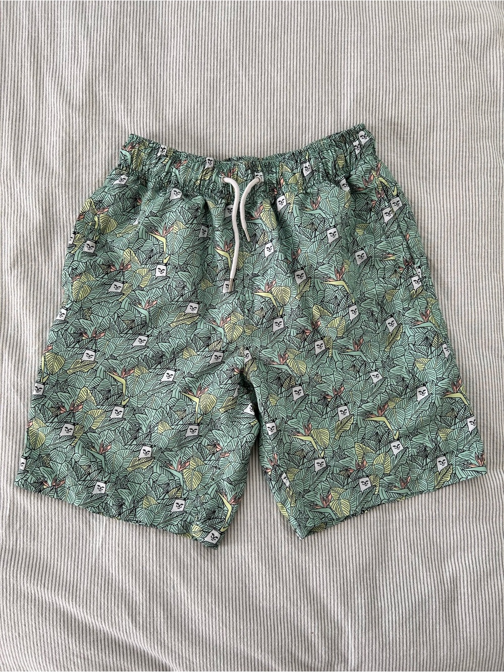Ripndip Mint Green Tropical Leaf Swim Shorts with White Drawstring